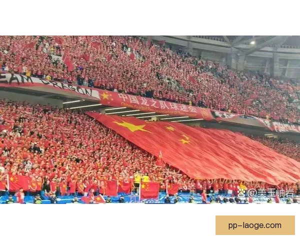 世界杯官方授权首发预购开启，限量球迷专属精彩来袭