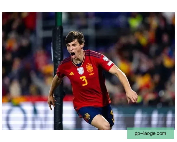 勒诺尔芒头部重伤确认，将暂别赛场休战疗养